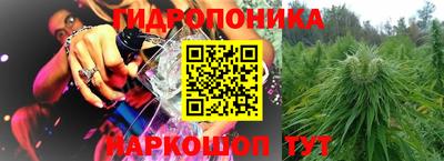 прущие грибы Гулькевичи