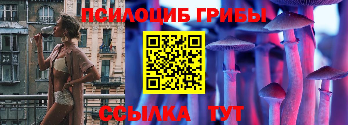 Галлюциногенные грибы Psilocybine cubensis  Вход с VPN  Гулькевичи 